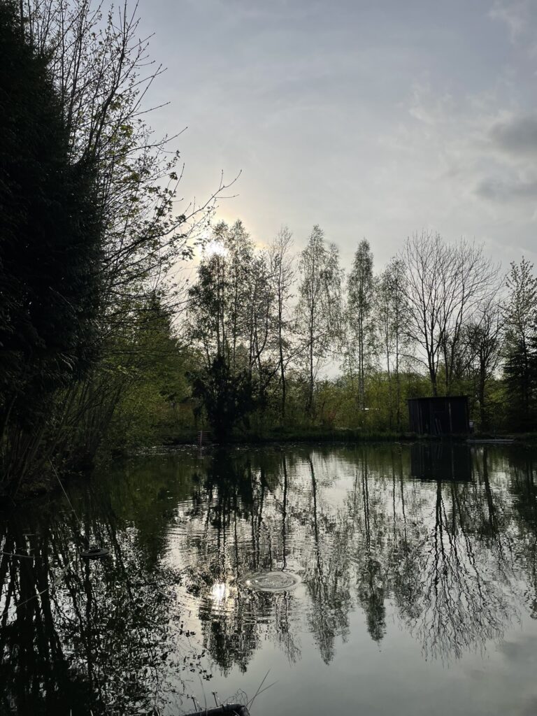 In der Abenddämmerung werden die Forellen wieder munter und beißen. Währendessen kann man die wunderschöne Natur genießen.