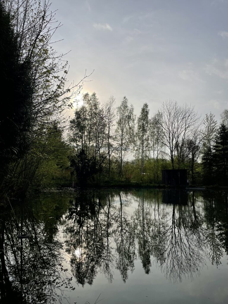In der Abenddämmerung werden die Forellen wieder munter und beißen. Währendessen kann man die wunderschöne Natur genießen.