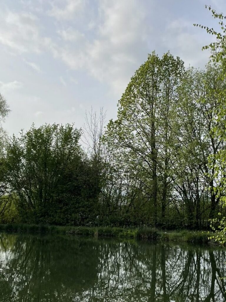 Teich in Goslar buchen Teichanlage Goslar Baßgeige