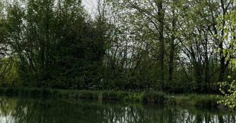 Teich in Goslar buchen Teichanlage Goslar Baßgeige