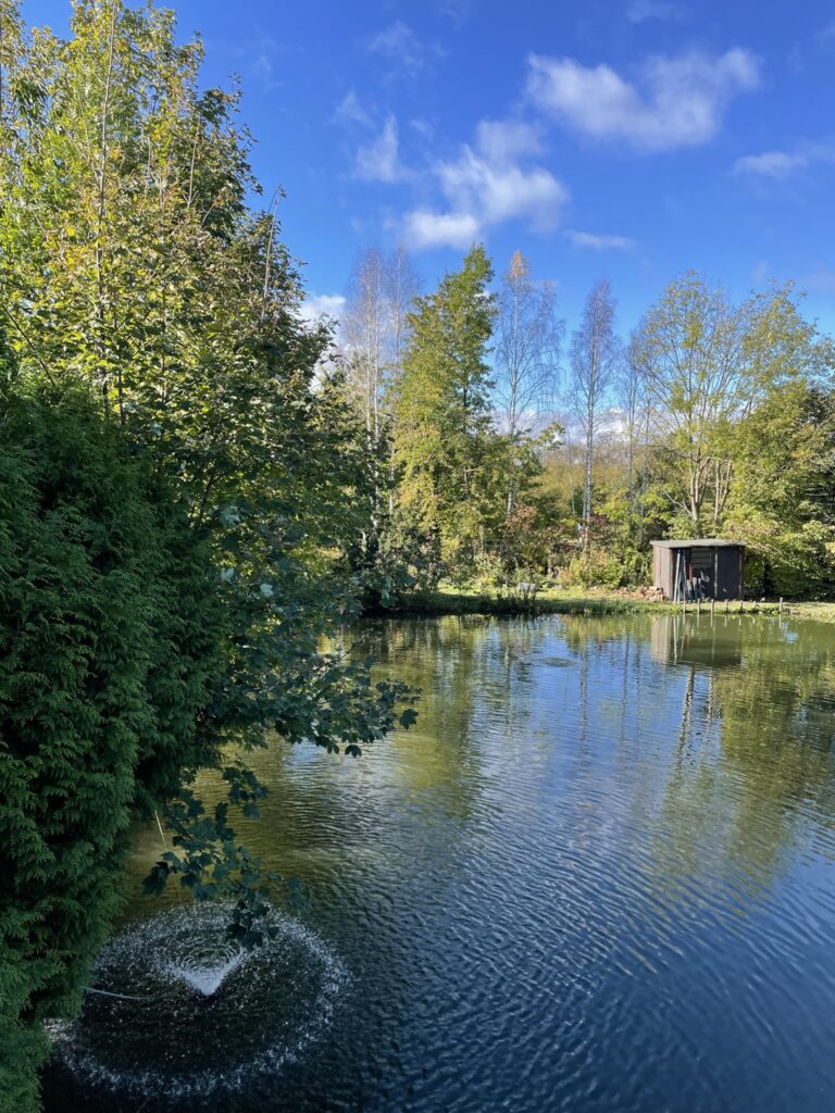 Ruhig und friedlich nehmen die Forellen im See die letzten Sonnenstrahlen der untergehenden Sonne auf.