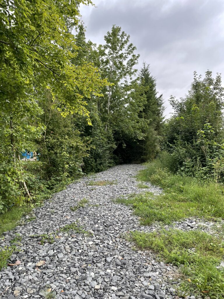 Der Parkplatz der Teichanlage Goslar Basßgeige. Verdichteter Untergrund bis fast ans Wasser. Austreichend Platz für bis zu sechs PKW oder oder ein wirklich großes Wohnmobil.